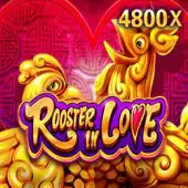 zoom holdem